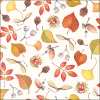 Салфетки Autumn details