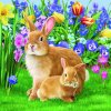 Салфетки Mother bunny