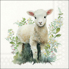 Салфетки Lamb