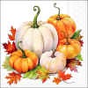 Салфетки Pumpkin season