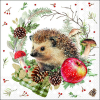 Салфетки Spikey