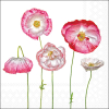 Салфетки Pale poppies
